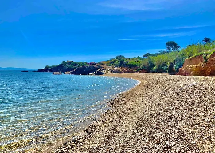 Presqu'ile De Giens, Joli T2 A 5 Minutes De La A Pieds