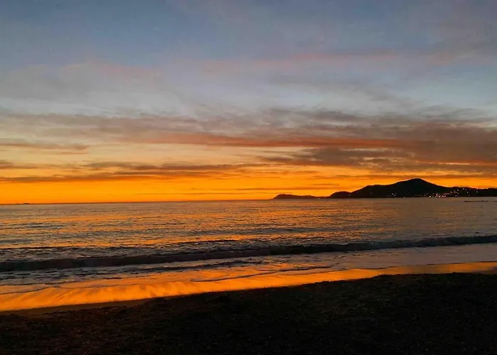 Presqu'ile De Giens, Joli T2 A 5 Minutes De La A Pieds *