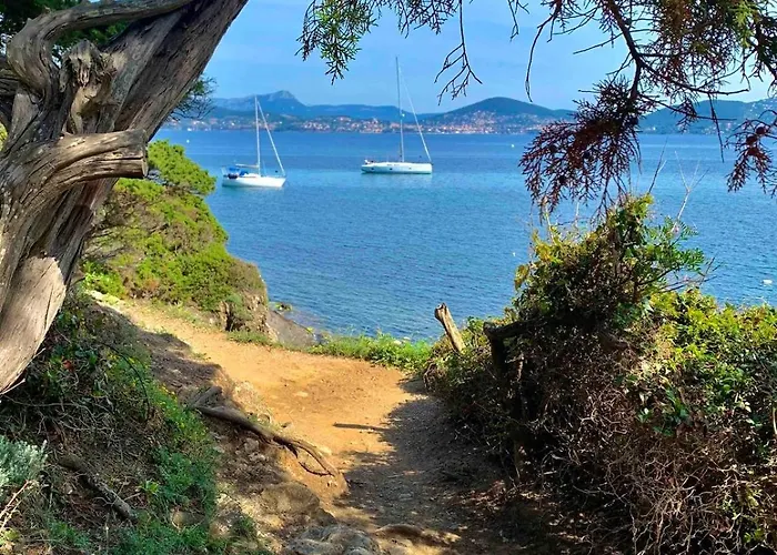 Presqu'ile De Giens, Joli T2 A 5 Minutes De La A Pieds