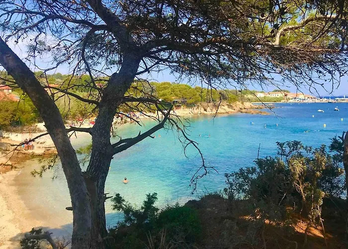 Presqu'ile De Giens, Joli T2 A 5 Minutes De La A Pieds * Hyères