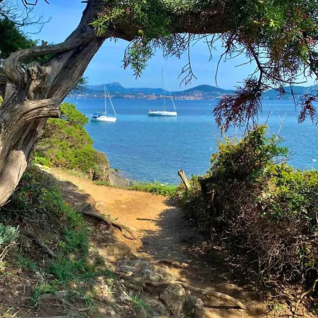 Presqu'ile De Giens, Joli T2 A 5 Minutes De La A Pieds
