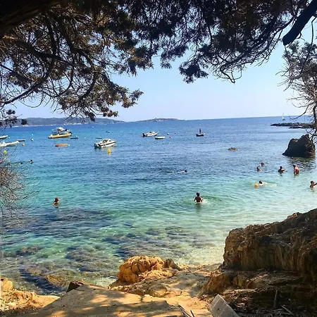 Presqu'ile De Giens, Joli T2 A 5 Minutes De La A Pieds